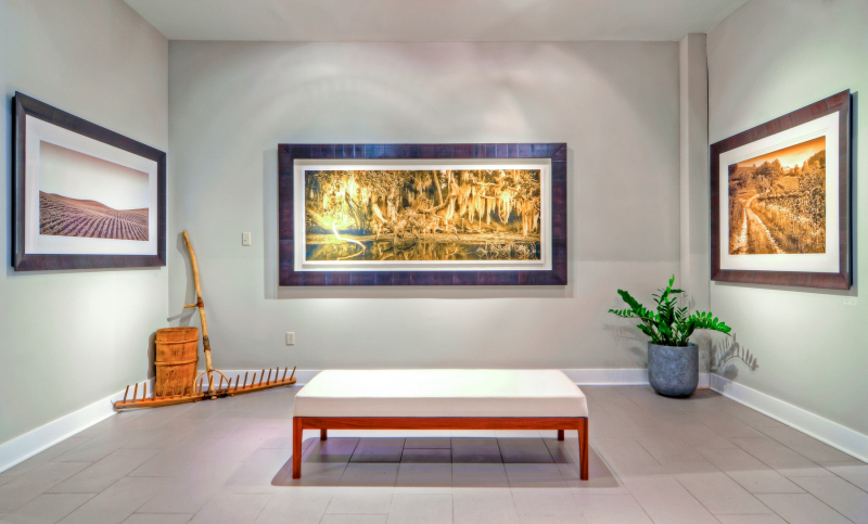 Ben Ham Images, Charleston, SC