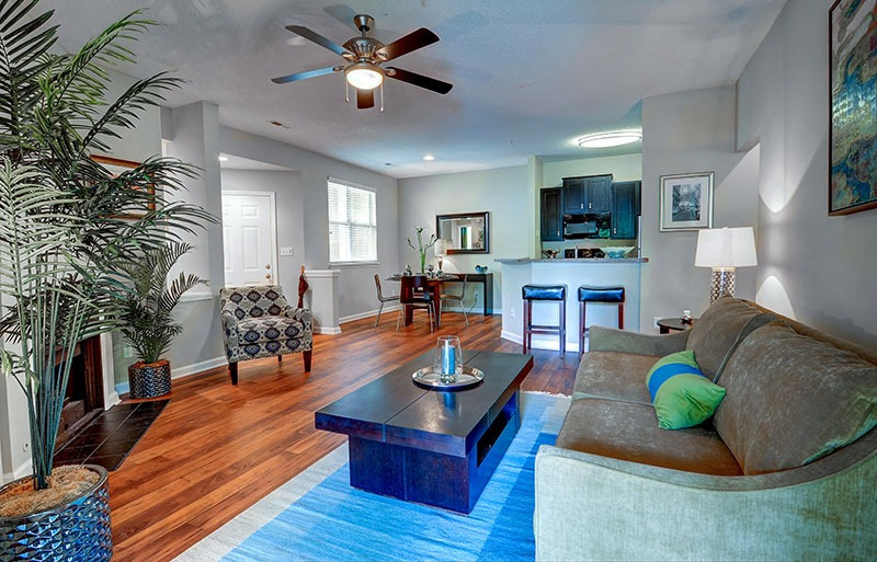 Resort Rental